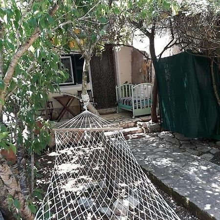 Casa Natasa Daire Oziás Dış mekan fotoğraf
