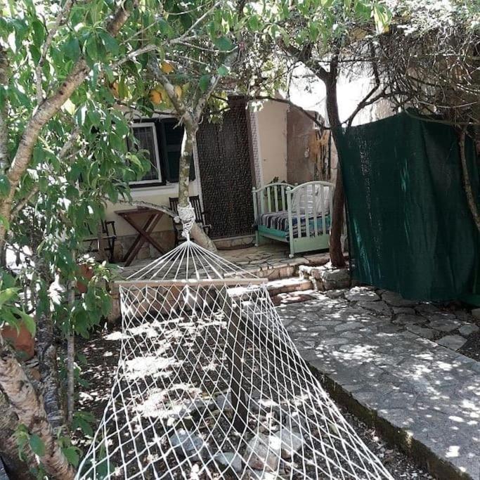Casa Natasa Daire Oziás Dış mekan fotoğraf