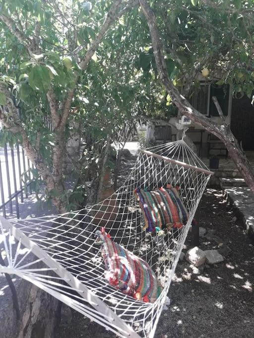 Casa Natasa Daire Oziás Dış mekan fotoğraf